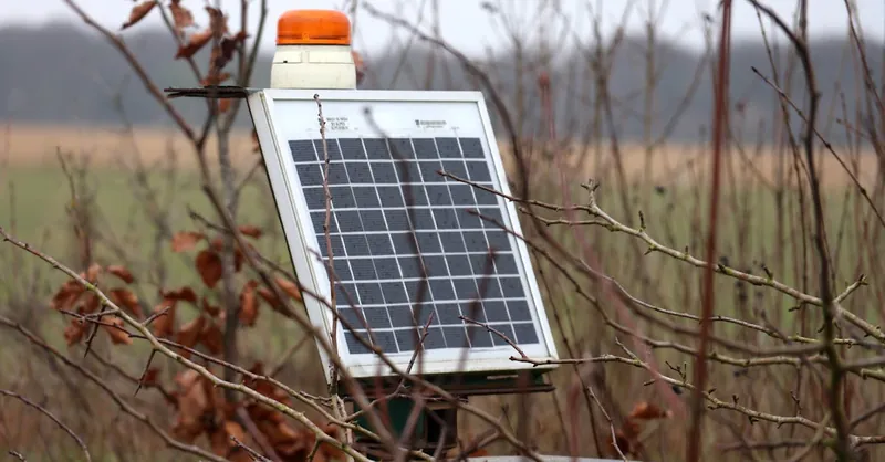 A solar panel surrounded by dry branches in a rural autumn setting, highlighting green technology in nature.