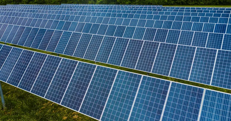 A vibrant solar farm showcasing rows of photovoltaic panels capturing energy.